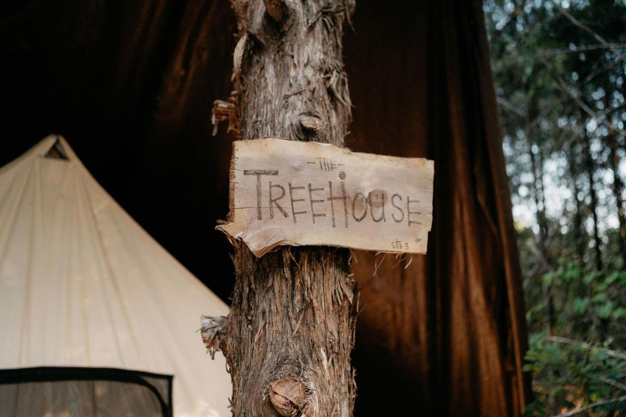 Отель Treehouse Cozy Glamping Site Брэнсон Экстерьер фото